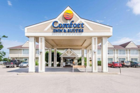 Comfort Inn & Suites Collingwood